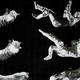 Illustration for article titled The experiment to determine whether an astronaut could fall like a cat